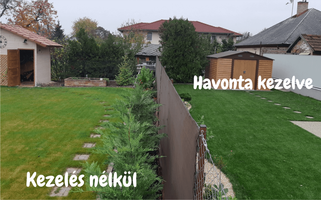 gyep javítás