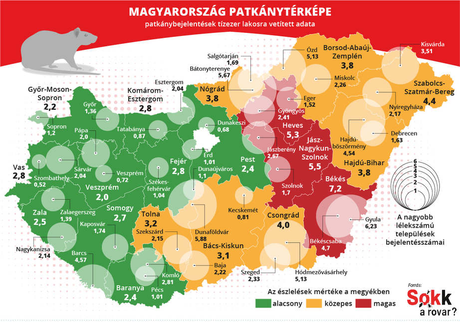 patkányirtás területei