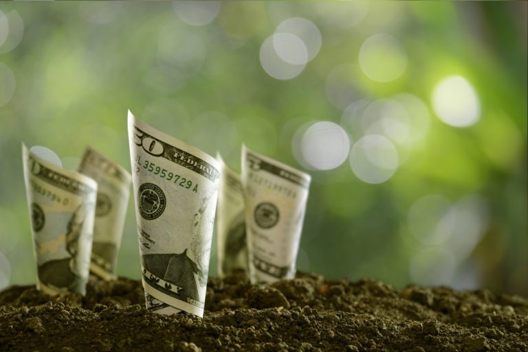 Rolled bank notes on soil
