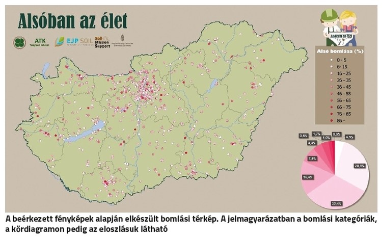 talajélet teszt
