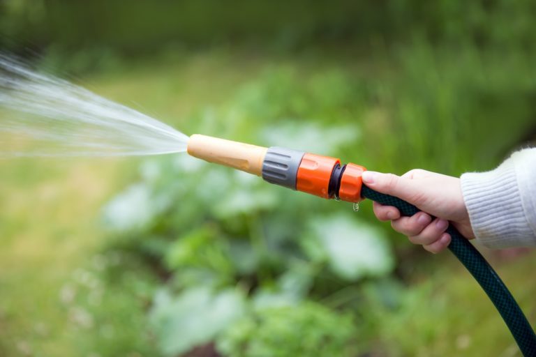 Watering the garden